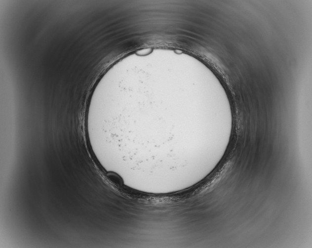 X0000096211041200802151458