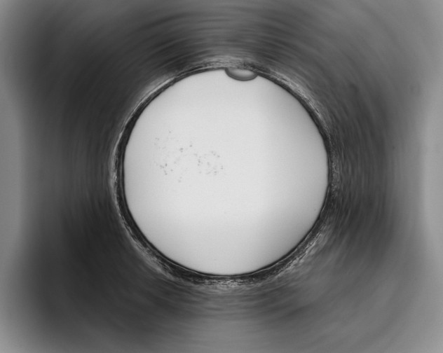 X0000096211042200802151458