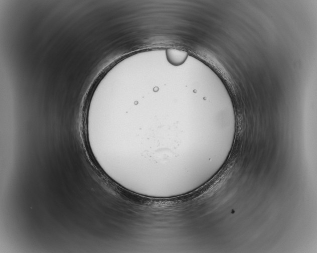 X0000096211043200802151458