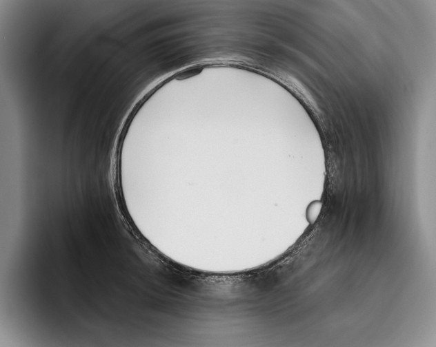 X0000096211044200802151458