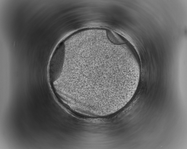 X0000096211045200802151458