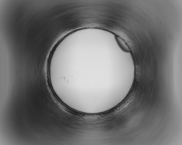 X0000096211046200802151458