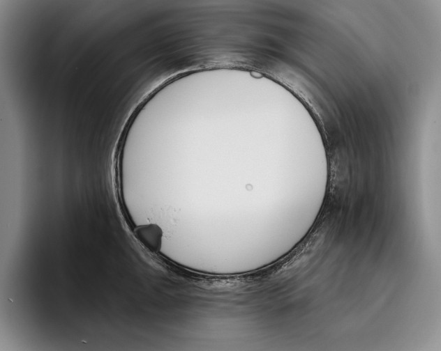 X0000096211047200802151458