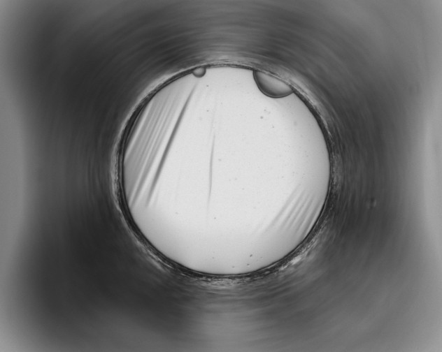 X0000096211048200802151458