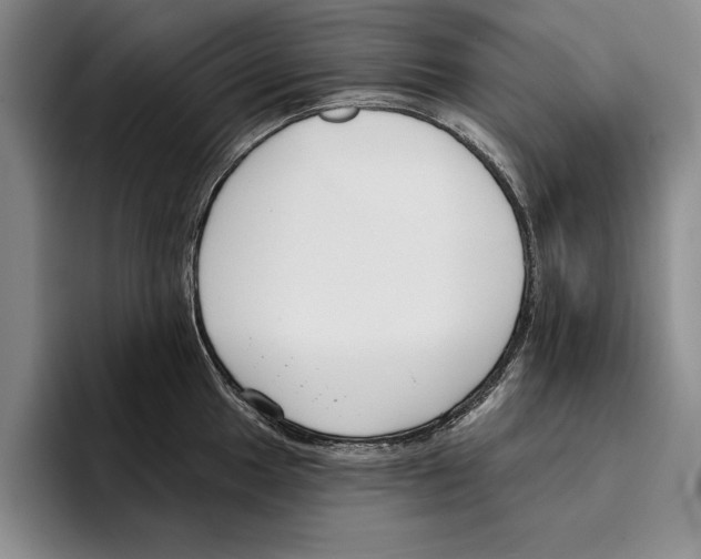 X0000096211049200802151458