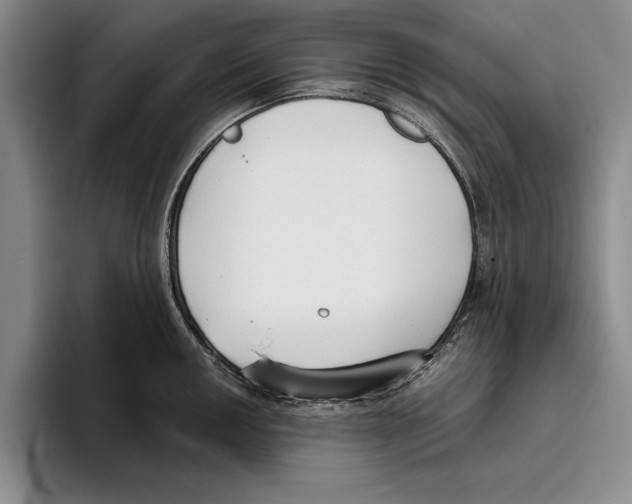 X0000096211050200802151458