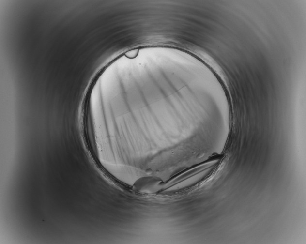 X0000096211053200802151458