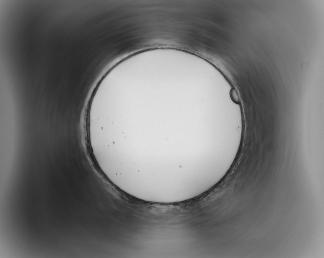 X0000096211056200802151458