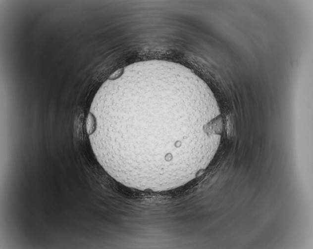 X0000096211059200802151457