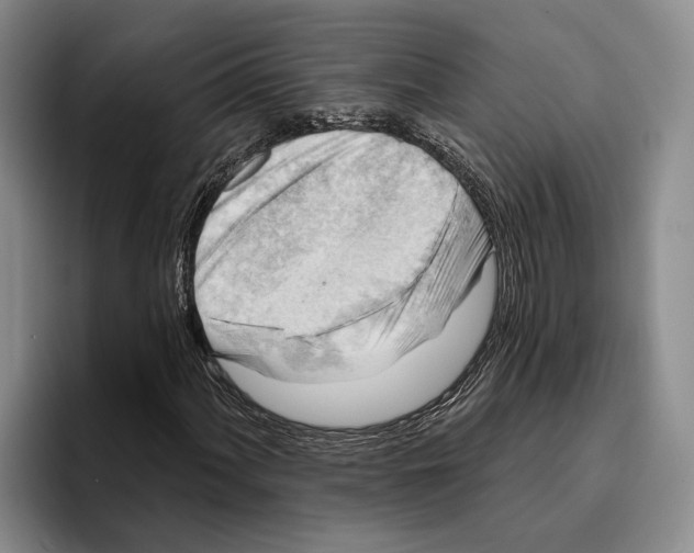 X0000096211060200802151457