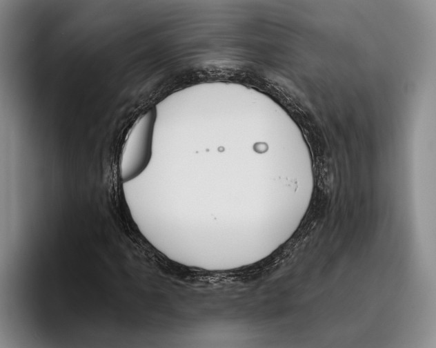 X0000096211061200802151457