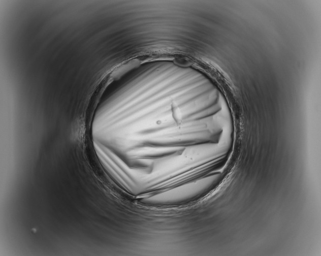 X0000096211065200802151457