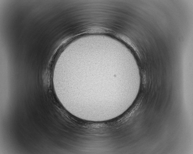 X0000096211067200802151457