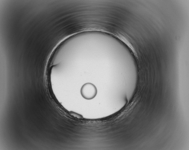 X0000096211068200802151457