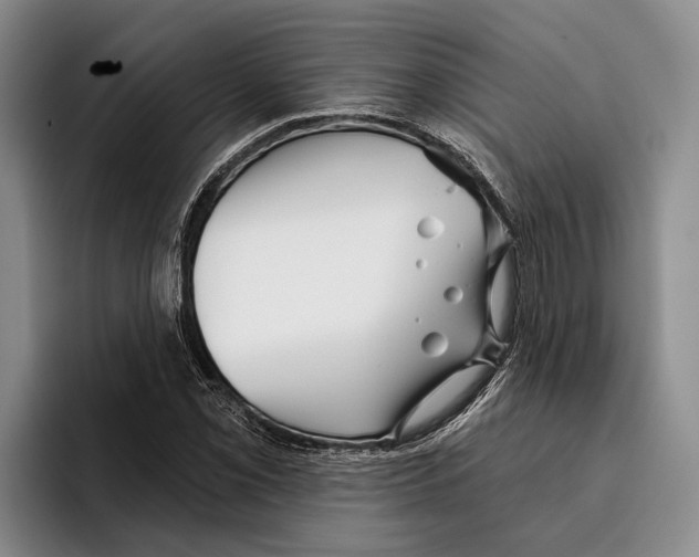 X0000096211069200802151457