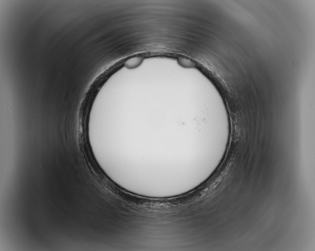 X0000096211070200802151457