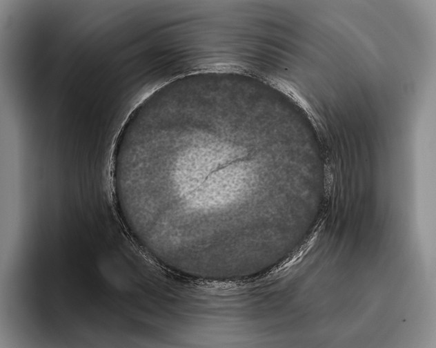 X0000096211071200802151457