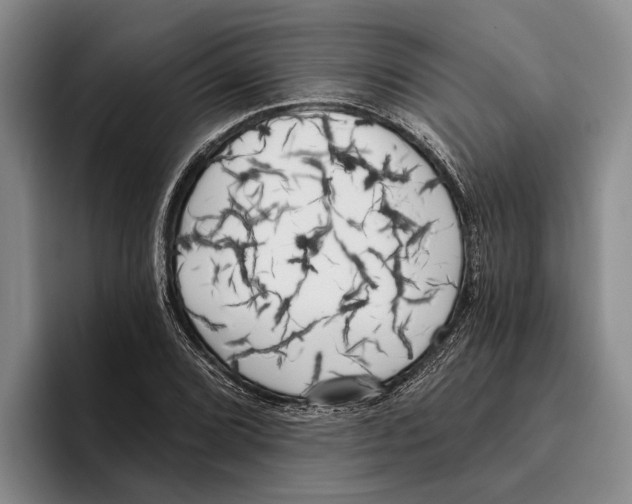 X0000096211072200802151457