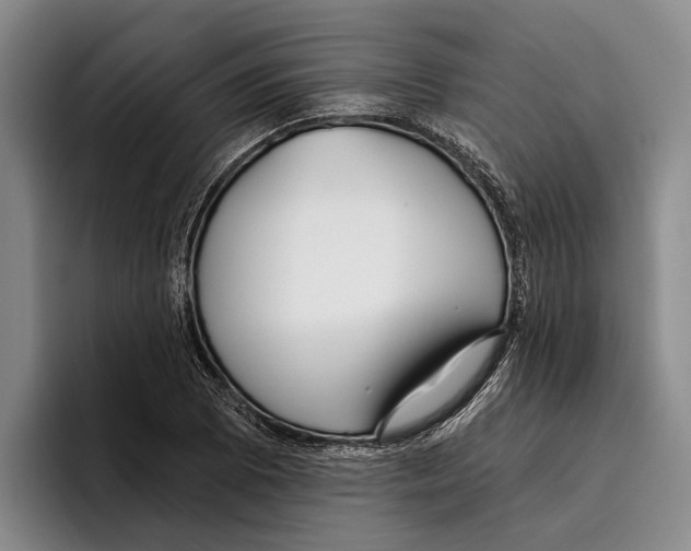 X0000096211073200802151457