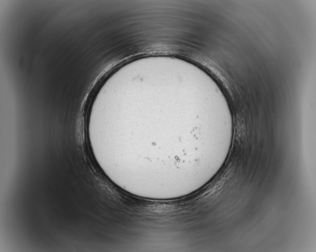 X0000096211075200802151457