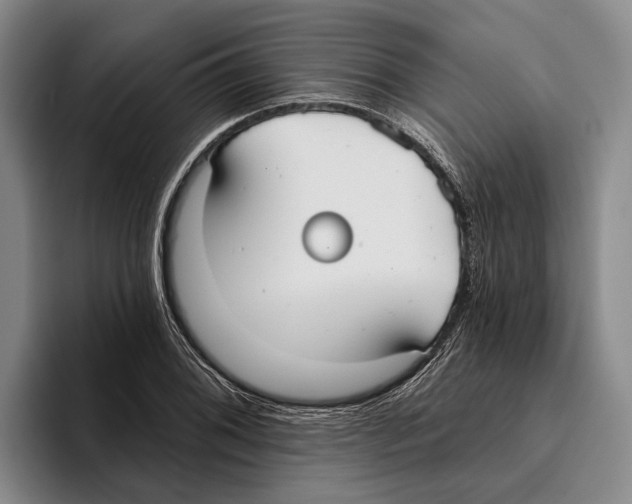 X0000096211076200802151457