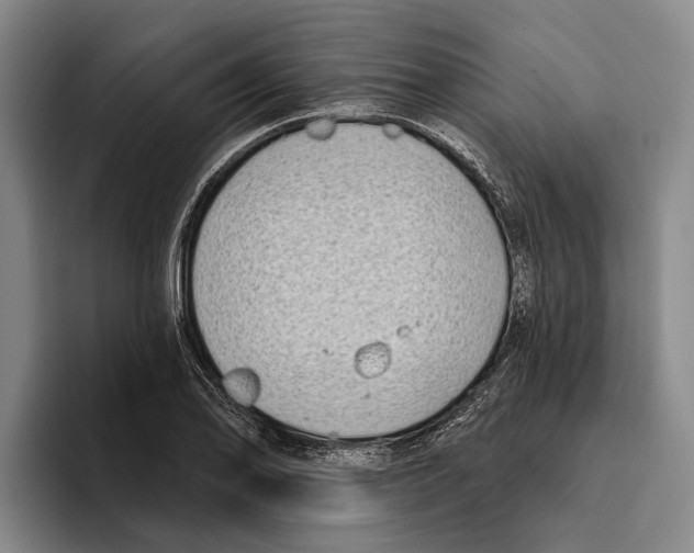 X0000096211078200802151457