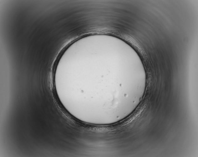 X0000096211079200802151457