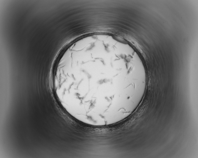 X0000096211080200802151457