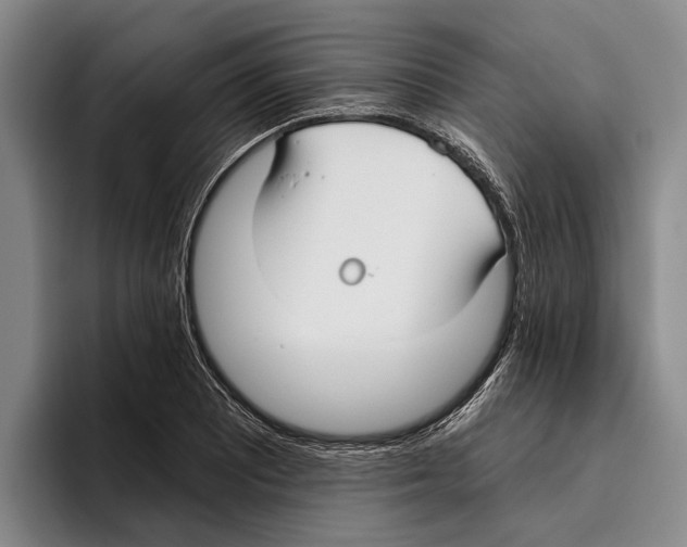 X0000096211081200802151457