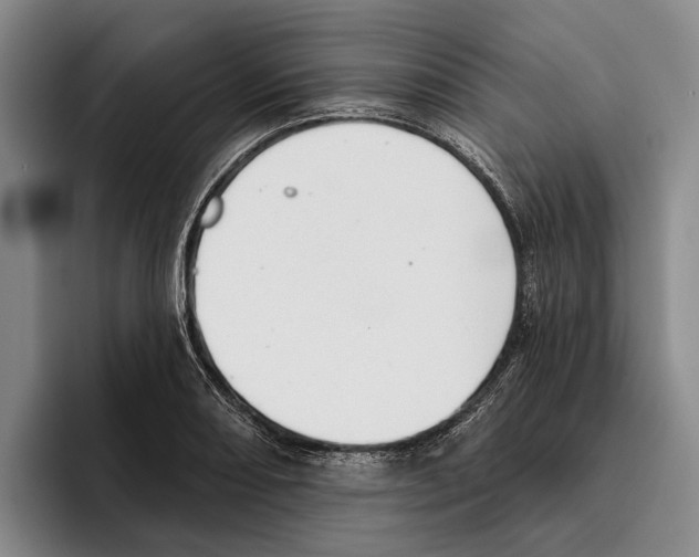 X0000096211082200802151457