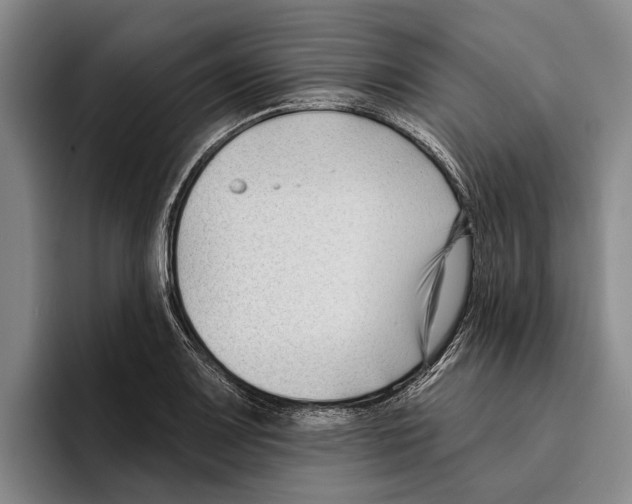 X0000096211083200802151457