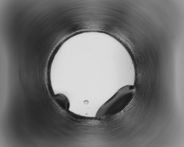 X0000096211085200802151457