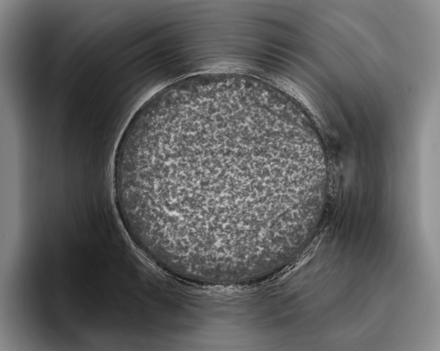 X0000096211087200802151457