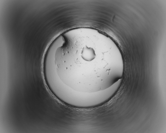 X0000096211088200802151457