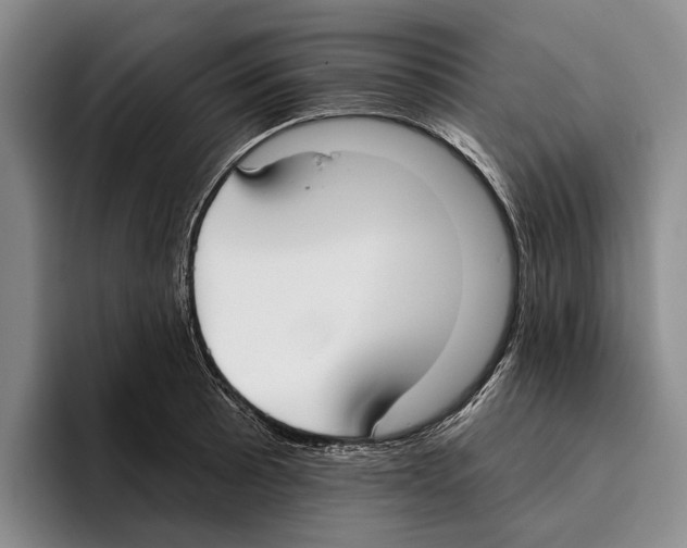 X0000096211089200802151457