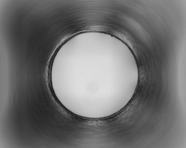 X0000096211091200802151457