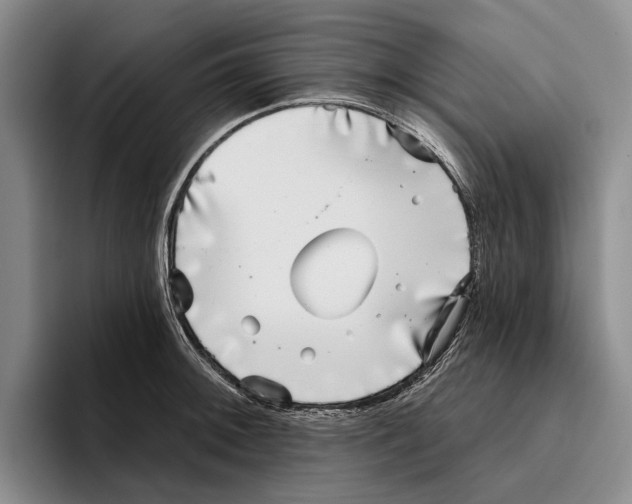 X0000096211092200802151457