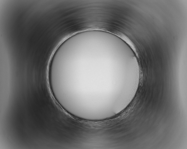 X0000096211096200802151457