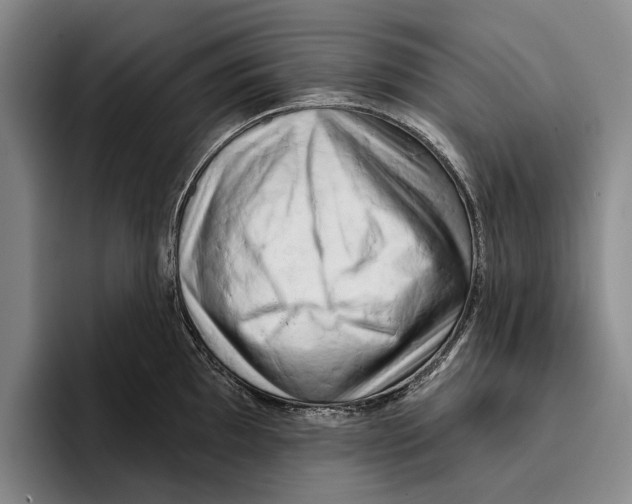 X0000096211097200802151457