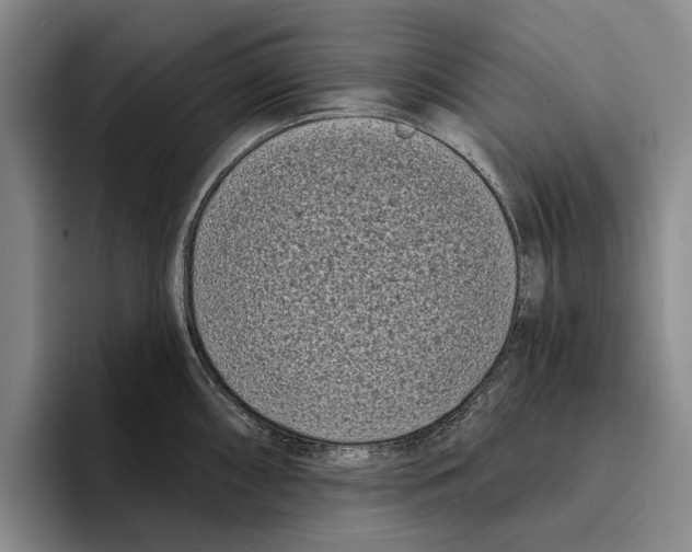 X0000096211098200802151457