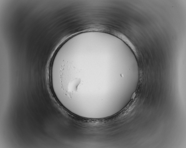 X0000096211099200802151457