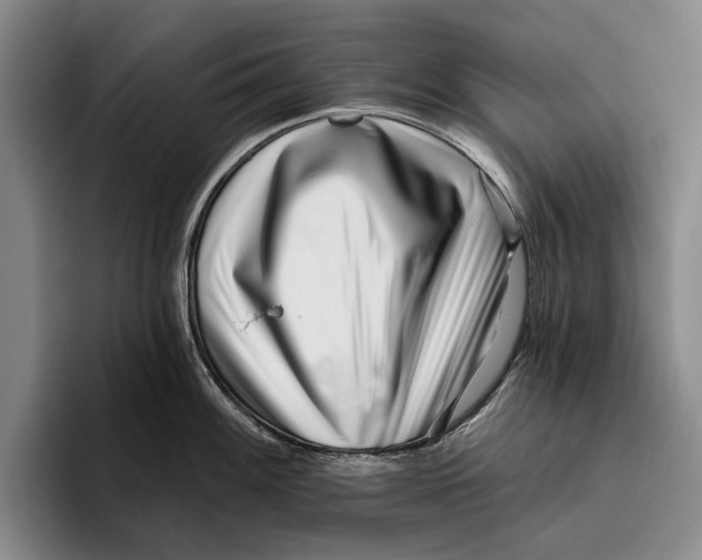 X0000096211100200802151457