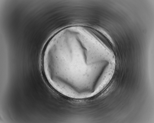 X0000096211101200802151457