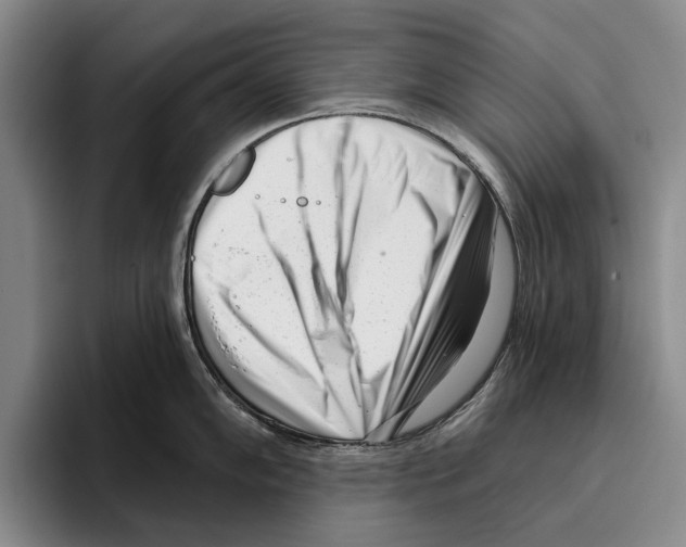 X0000096211102200802151457