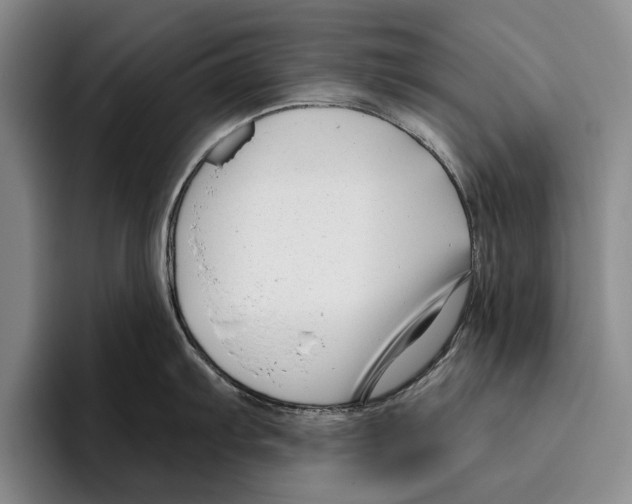 X0000096211103200802151457