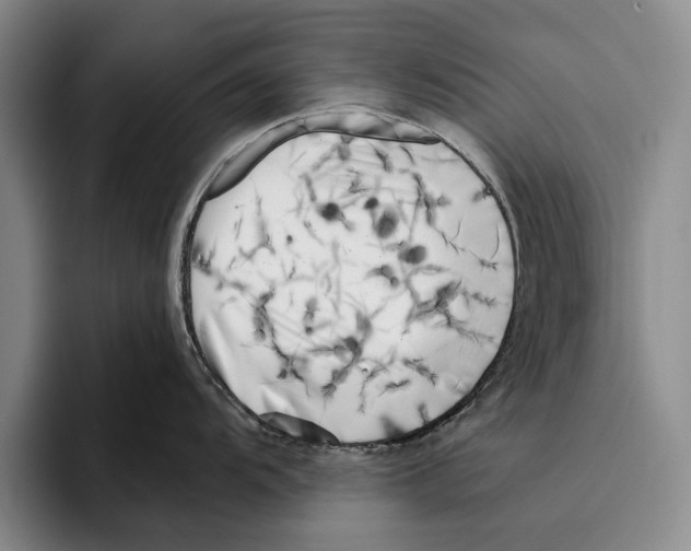 X0000096211104200802151457