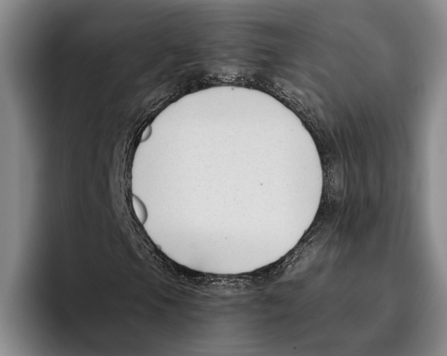 X0000096211105200802151456