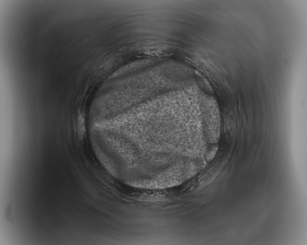 X0000096211106200802151456