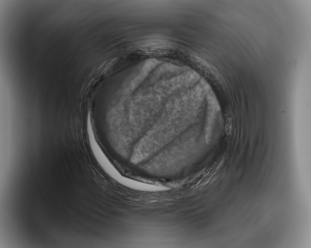 X0000096211108200802151456