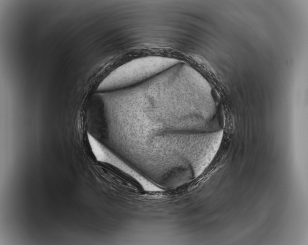 X0000096211110200802151456